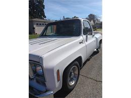 1976 Chevrolet Pickup (CC-2112440) for sale in Cadillac, Michigan