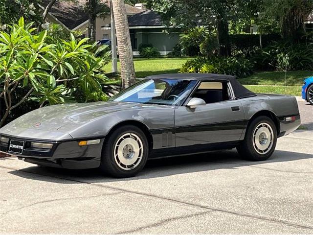 1987 Chevrolet Corvette (CC-2112442) for sale in Cadillac, Michigan