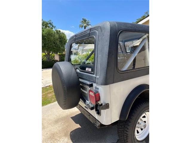 1986 Jeep CJ7 (CC-2112453) for sale in Cadillac, Michigan