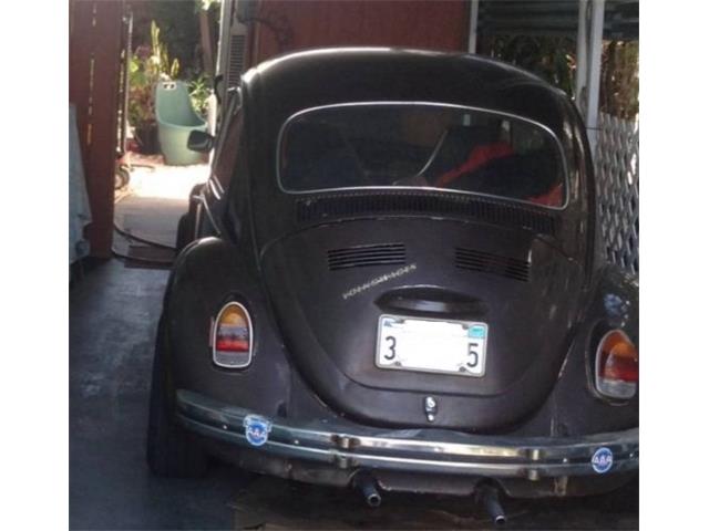 1969 Volkswagen Beetle (CC-2112456) for sale in Cadillac, Michigan