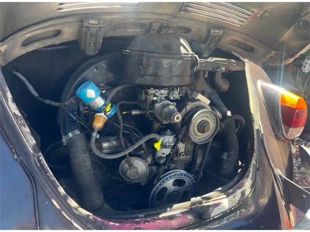 1969 Volkswagen Beetle (CC-2112456) for sale in Cadillac, Michigan
