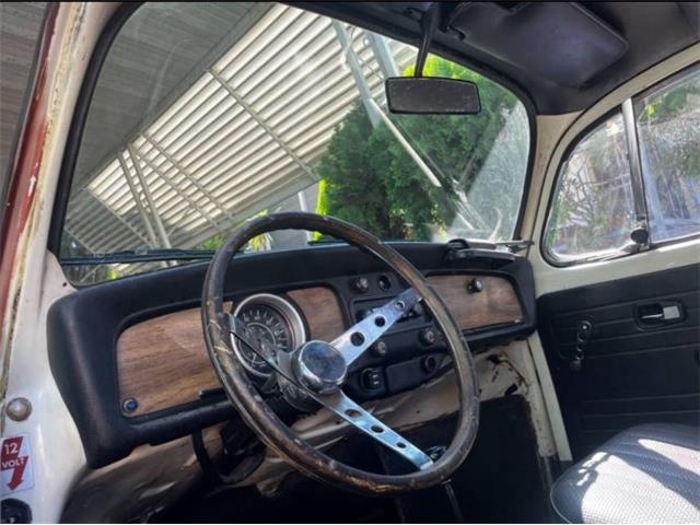 1969 Volkswagen Beetle (CC-2112456) for sale in Cadillac, Michigan