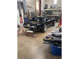 1977 Chevrolet Corvette (CC-2112461) for sale in Cadillac, Michigan