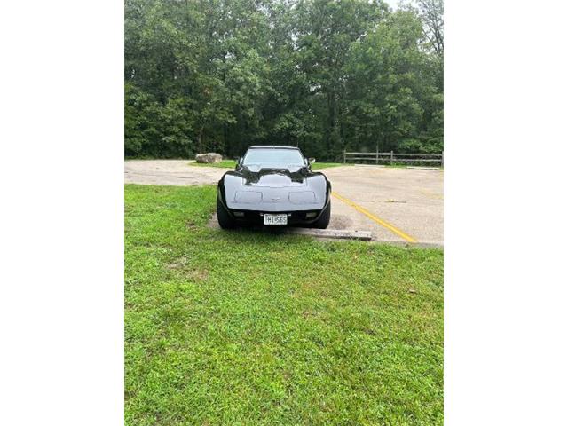 1977 Chevrolet Corvette (CC-2112461) for sale in Cadillac, Michigan