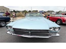 1966 Ford Thunderbird (CC-2112484) for sale in Cadillac, Michigan