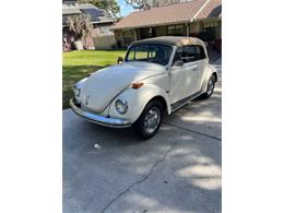 1971 Volkswagen Super Beetle (CC-2110249) for sale in Cadillac, Michigan