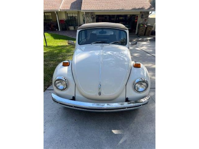 1971 Volkswagen Super Beetle (CC-2110249) for sale in Cadillac, Michigan