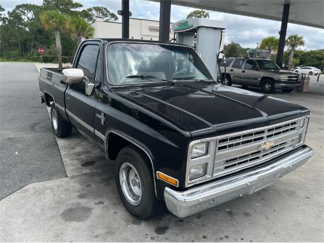 1986 Chevrolet C10 (CC-2112490) for sale in Cadillac, Michigan