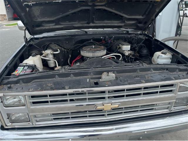 1986 Chevrolet C10 (CC-2112490) for sale in Cadillac, Michigan