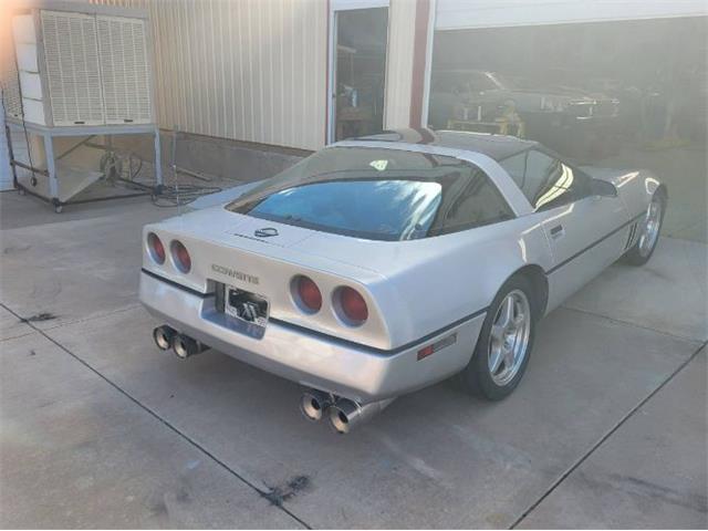 1984 Chevrolet Corvette (CC-2112499) for sale in Cadillac, Michigan