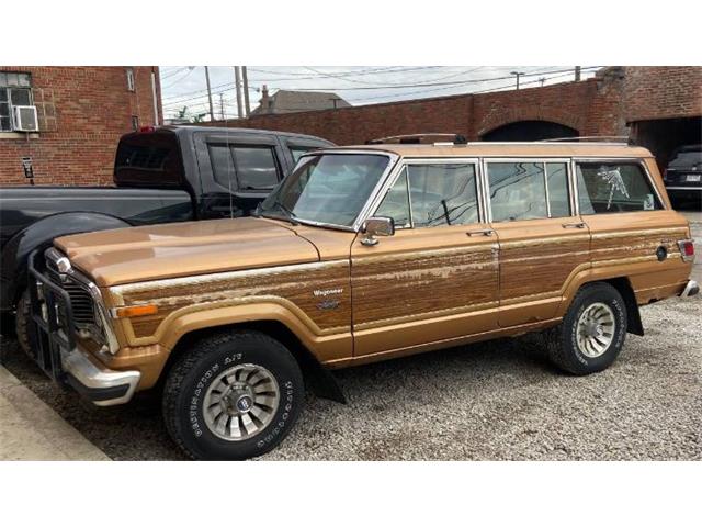 1982 Jeep Wagoneer (CC-2110251) for sale in Cadillac, Michigan