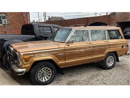 1982 Jeep Wagoneer (CC-2110251) for sale in Cadillac, Michigan