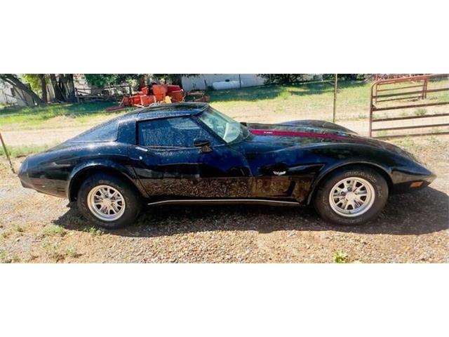 1979 Chevrolet Corvette (CC-2112541) for sale in Cadillac, Michigan