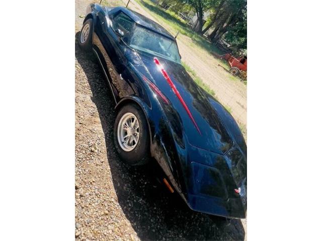 1979 Chevrolet Corvette (CC-2112541) for sale in Cadillac, Michigan