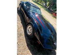 1979 Chevrolet Corvette (CC-2112541) for sale in Cadillac, Michigan
