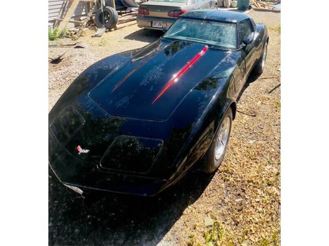 1979 Chevrolet Corvette (CC-2112541) for sale in Cadillac, Michigan