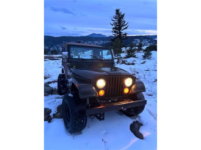1977 Jeep CJ5 (CC-2112560) for sale in Cadillac, Michigan