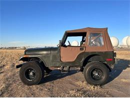 1977 Jeep CJ5 (CC-2112560) for sale in Cadillac, Michigan