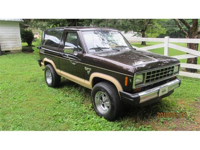1985 Ford Bronco (CC-2112561) for sale in Cadillac, Michigan