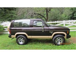 1985 Ford Bronco (CC-2112561) for sale in Cadillac, Michigan