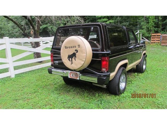 1985 Ford Bronco (CC-2112561) for sale in Cadillac, Michigan