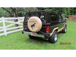 1985 Ford Bronco (CC-2112561) for sale in Cadillac, Michigan