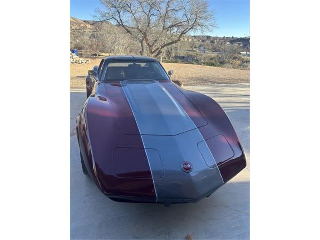 1974 Chevrolet Corvette (CC-2112595) for sale in Cadillac, Michigan