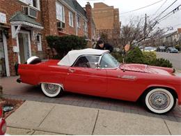 1955 Ford Thunderbird (CC-2110261) for sale in Cadillac, Michigan