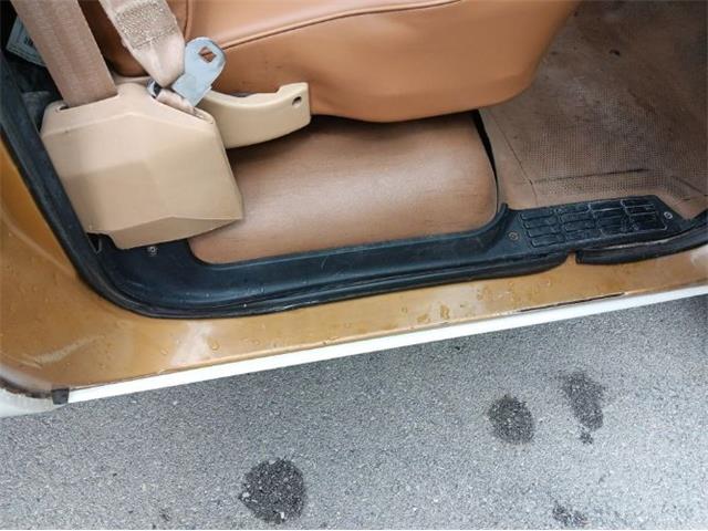 1984 Chevrolet Scottsdale (CC-2112611) for sale in Cadillac, Michigan