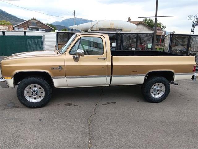 1984 Chevrolet Scottsdale (CC-2112611) for sale in Cadillac, Michigan