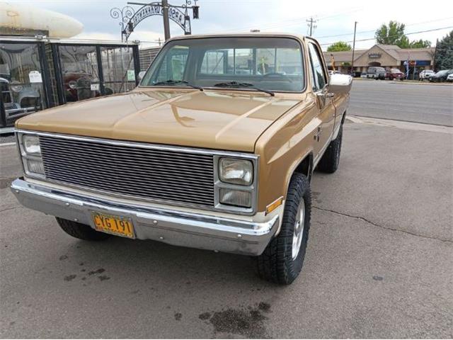 1984 Chevrolet Scottsdale (CC-2112611) for sale in Cadillac, Michigan