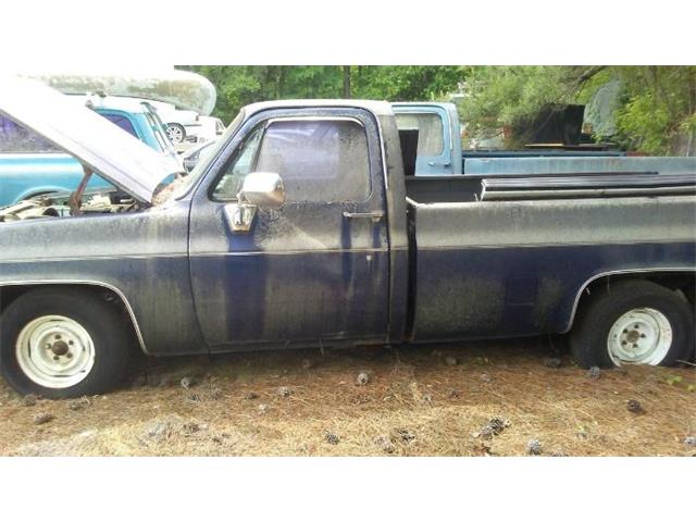 1984 Chevrolet C10 (CC-2112624) for sale in Cadillac, Michigan
