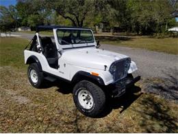 1983 Jeep CJ5 (CC-2112632) for sale in Cadillac, Michigan