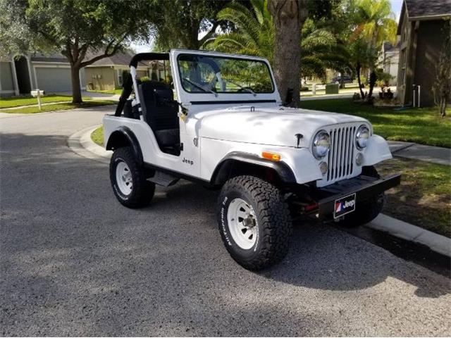 1983 Jeep CJ5 (CC-2112632) for sale in Cadillac, Michigan