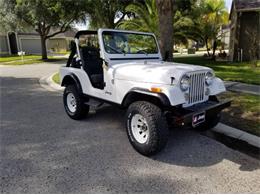 1983 Jeep CJ5 (CC-2112632) for sale in Cadillac, Michigan