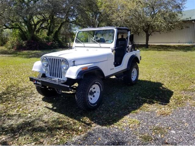 1983 Jeep CJ5 (CC-2112632) for sale in Cadillac, Michigan
