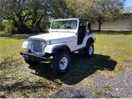 1983 Jeep CJ5 (CC-2112632) for sale in Cadillac, Michigan