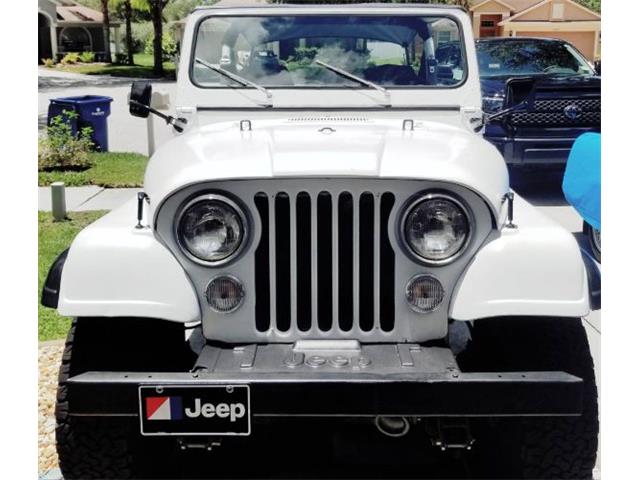 1983 Jeep CJ5 (CC-2112632) for sale in Cadillac, Michigan
