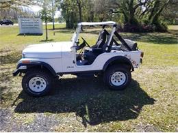 1983 Jeep CJ5 (CC-2112632) for sale in Cadillac, Michigan