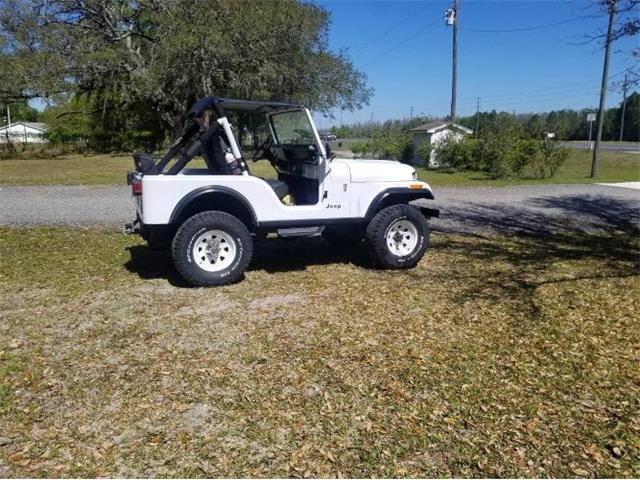 1983 Jeep CJ5 (CC-2112632) for sale in Cadillac, Michigan