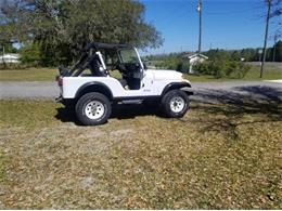 1983 Jeep CJ5 (CC-2112632) for sale in Cadillac, Michigan