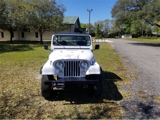 1983 Jeep CJ5 (CC-2112632) for sale in Cadillac, Michigan