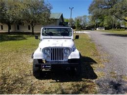 1983 Jeep CJ5 (CC-2112632) for sale in Cadillac, Michigan