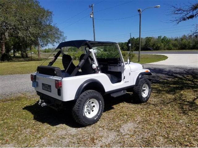 1983 Jeep CJ5 (CC-2112632) for sale in Cadillac, Michigan