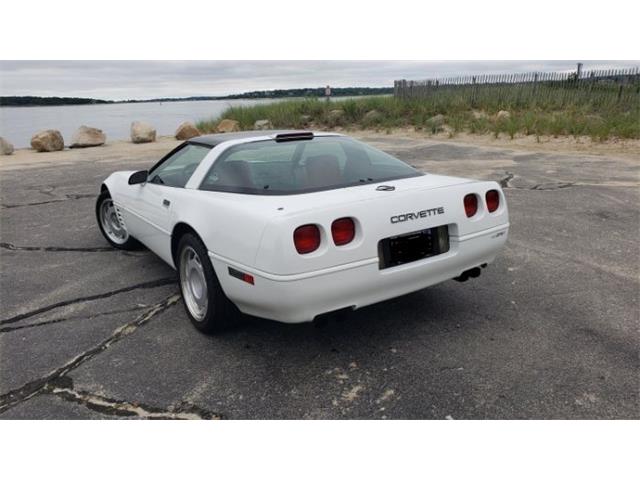 1991 Chevrolet Corvette (CC-2112641) for sale in Cadillac, Michigan
