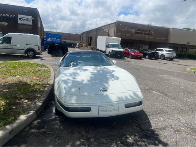 1991 Chevrolet Corvette (CC-2112654) for sale in Cadillac, Michigan