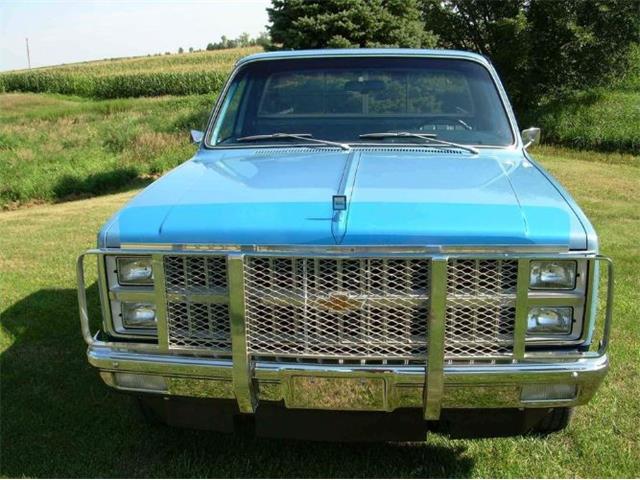 1982 Chevrolet 1500 (CC-2112662) for sale in Cadillac, Michigan