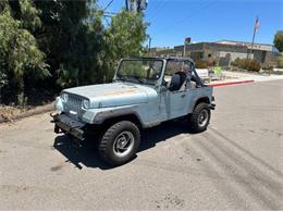 1988 Jeep Wrangler (CC-2112667) for sale in Cadillac, Michigan