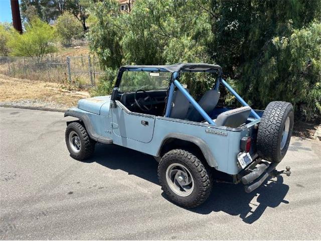 1988 Jeep Wrangler (CC-2112667) for sale in Cadillac, Michigan