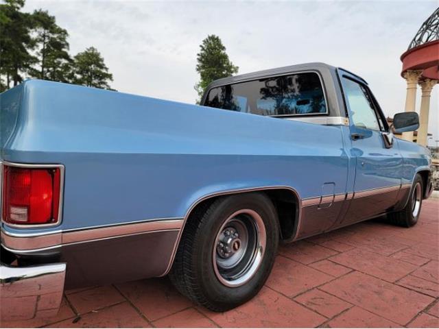 1984 Chevrolet C10 (CC-2112669) for sale in Cadillac, Michigan